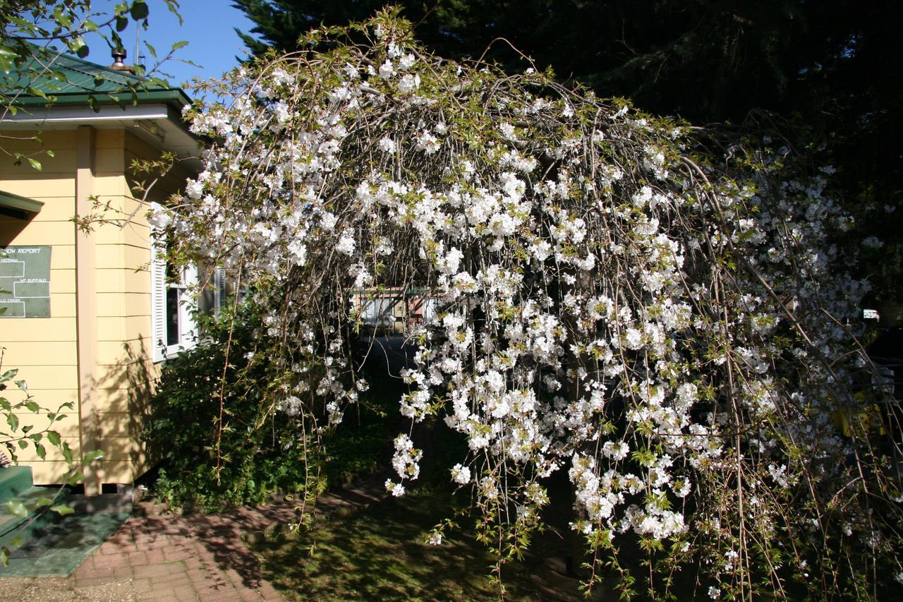 Carawatha Gardens Villa Bright Exterior photo