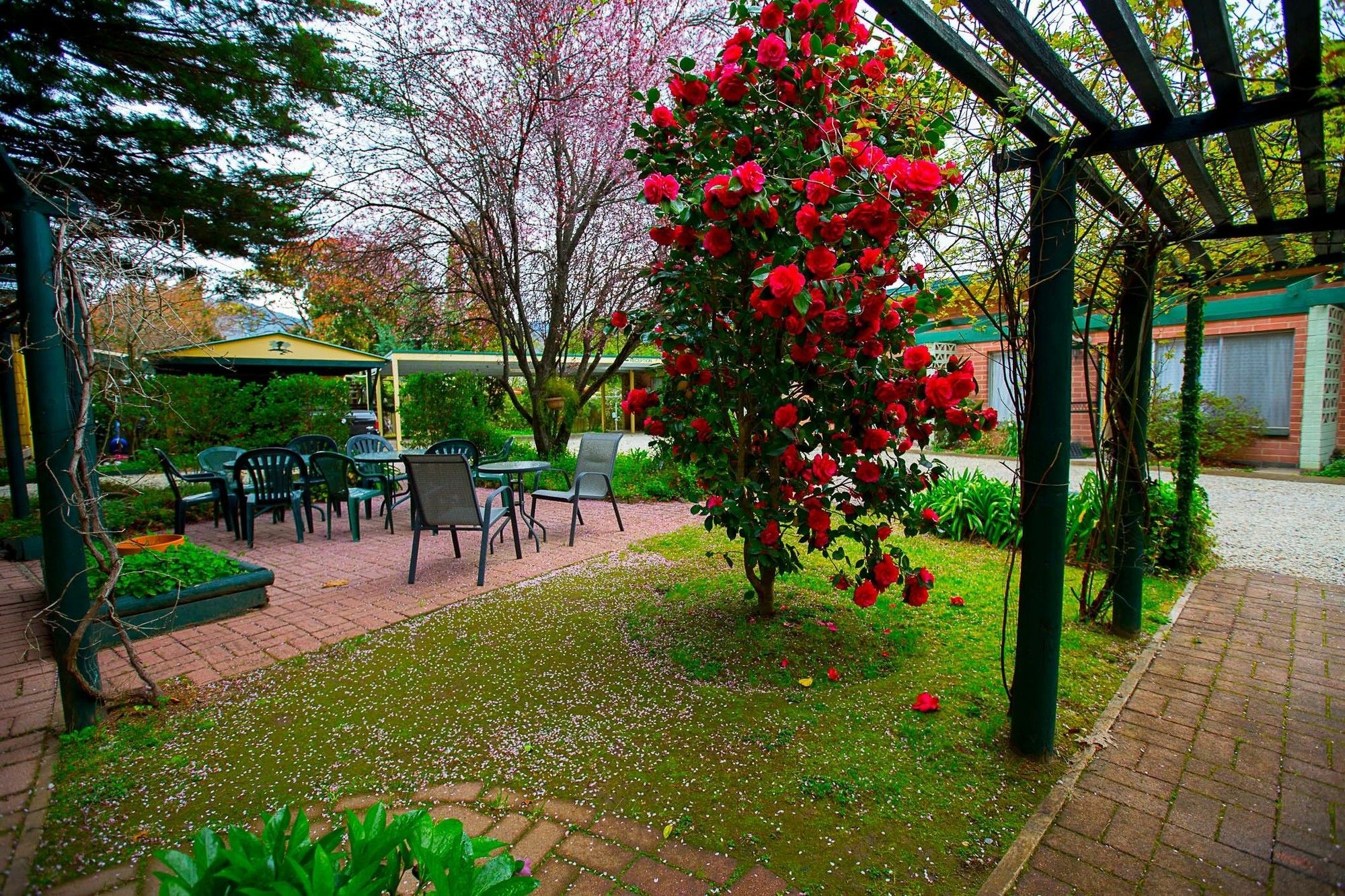 Carawatha Gardens Villa Bright Exterior photo